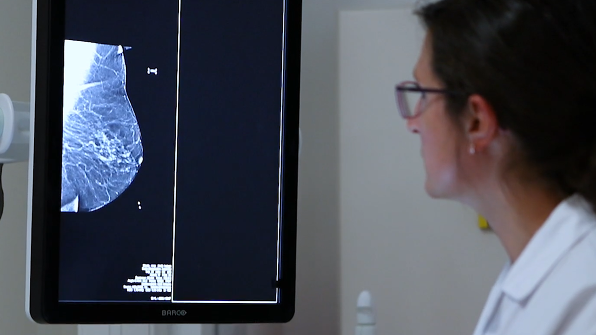 Radiologue examinant une mammographie sur écran, dans le cadre d'Octobre Rose