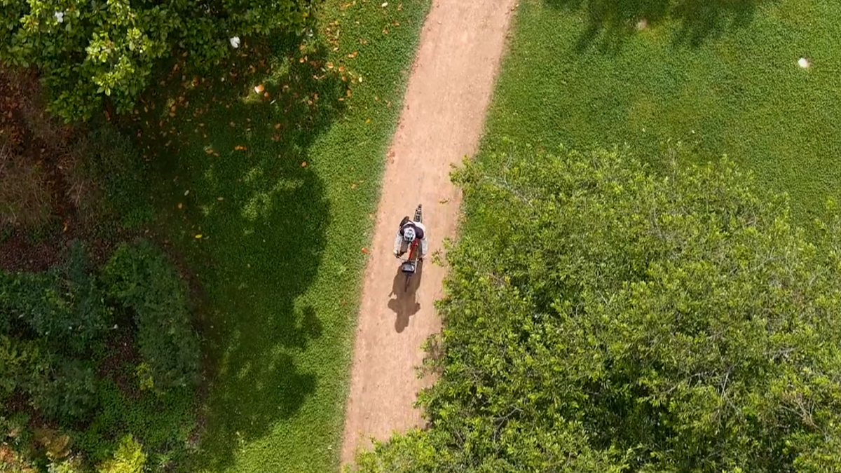 Vue aérienne d'un cycliste roulant sur un chemin entre les arbres